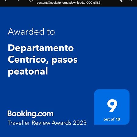 Departamento Centrico, Pasos Peatonal Apartment Mendoza Luaran gambar