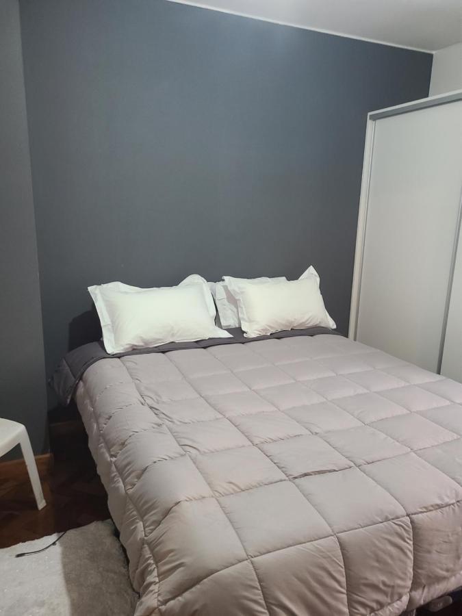Departamento Centrico, Pasos Peatonal Apartment Mendoza Luaran gambar